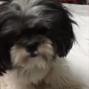 Meet your Posher, Charmaine